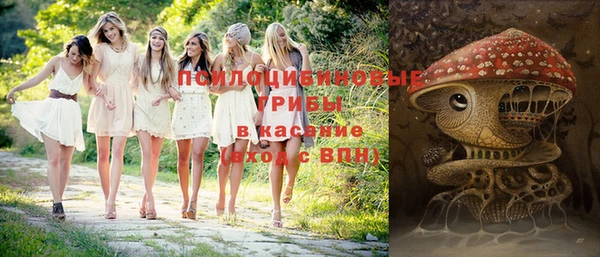 индика Волгодонск