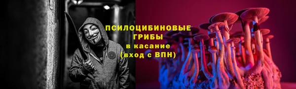 стафф Уссурийск