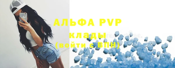 индика Волгодонск