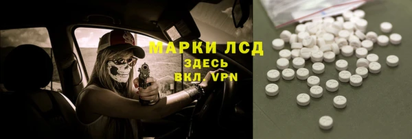 ПСИЛОЦИБИНОВЫЕ ГРИБЫ Магас