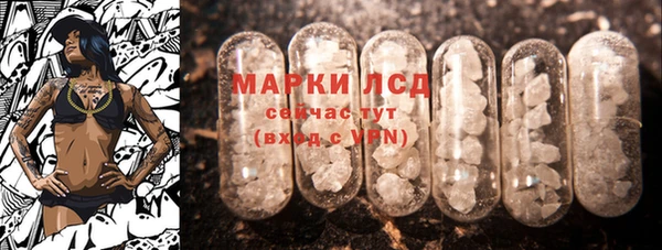 соль ск Пересвет