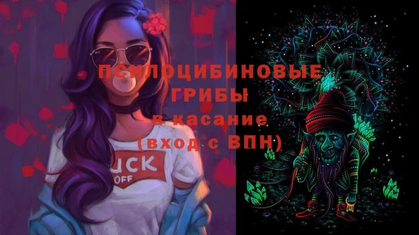 гидра Лихославль