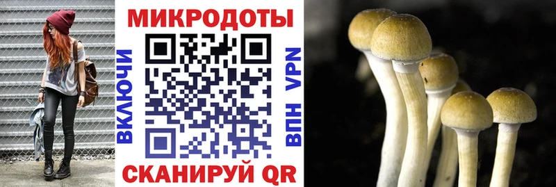 как найти закладки  Бикин  Псилоцибиновые грибы Cubensis 